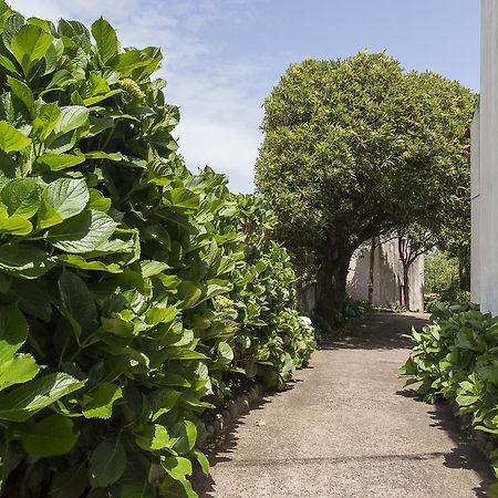 Casa Do Maranhao - Nature & Views Experience Capelas Ngoại thất bức ảnh